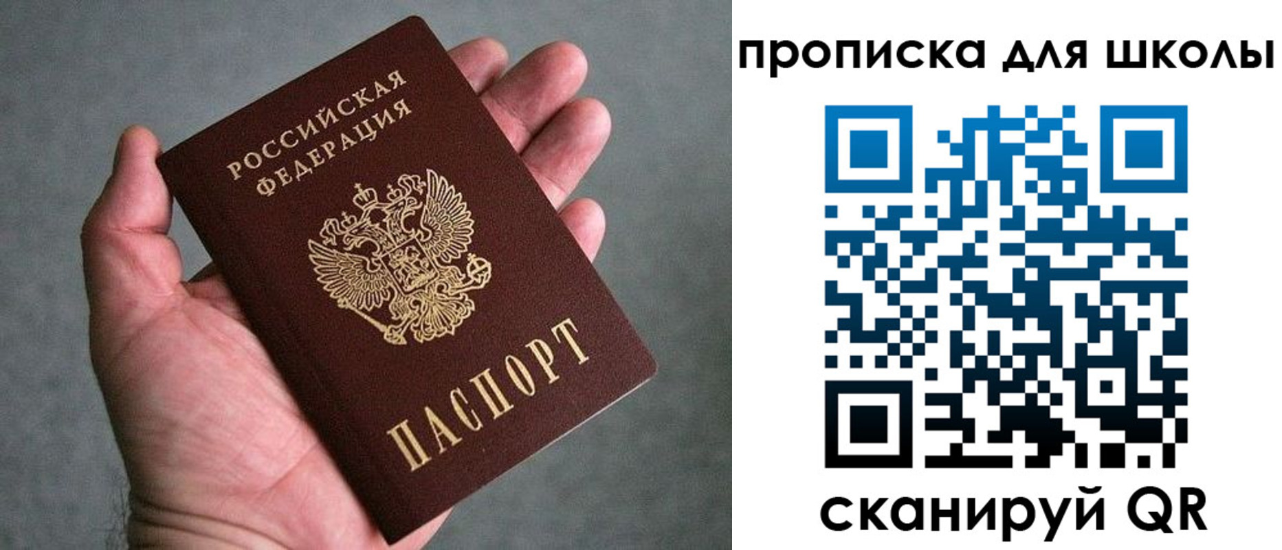 прописка для школы в Камышлове